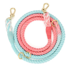 Gradient Rainbow Color Pet Traction Leash