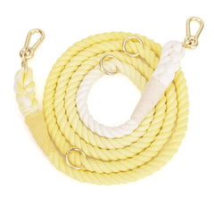 Gradient Rainbow Color Pet Traction Leash