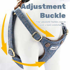 Luxury Lightweight Dog Harness and Leash Set