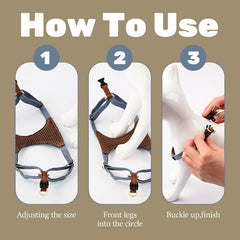 Luxury Lightweight Dog Harness and Leash Set