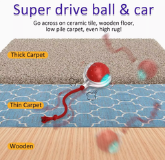 Pet Rolling Ball (One Piece)